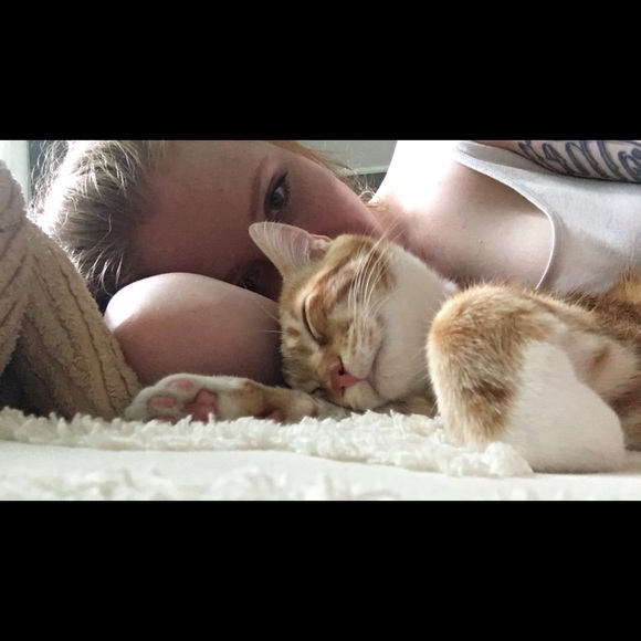 Meet your Posher, Jamie - Picture 3 of 4